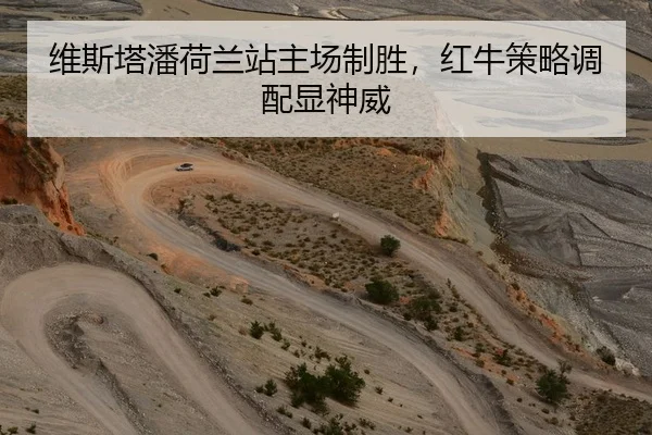 维斯塔潘荷兰站主场制胜，红牛策略调配显神威